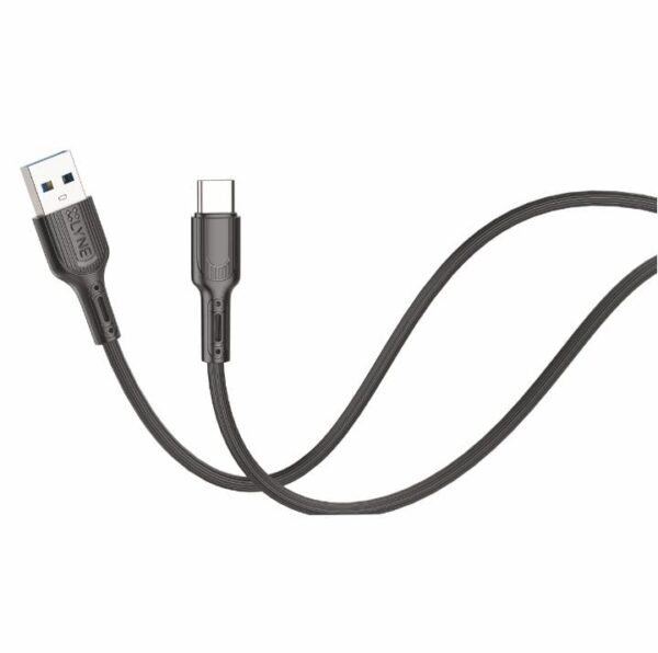 Lyne Flexy1 2.4Amp 1Mtr TypeC Cable