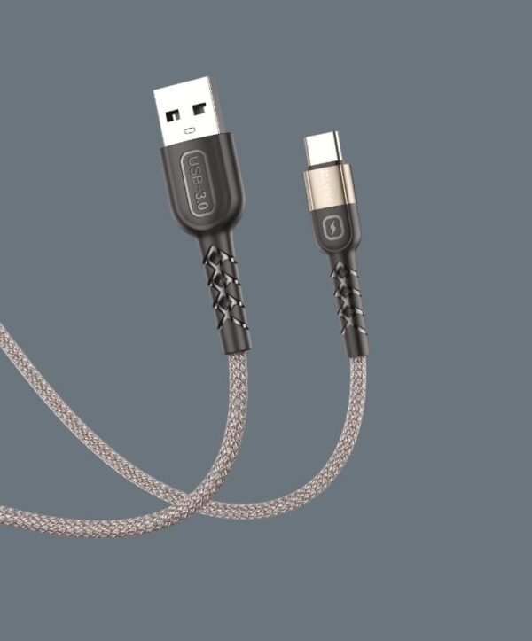 Lyne Flexy6 4Amp 1Mtr TypeC Cable